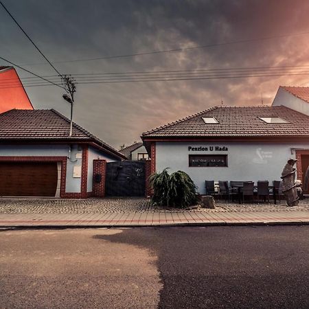 Penzion U Hada Velké Pavlovice Esterno foto