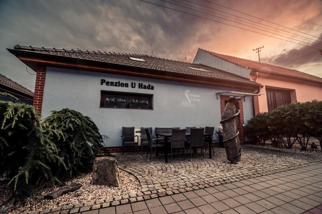 Penzion U Hada Velké Pavlovice Esterno foto